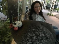 Enlarge photo 10