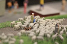 Enlarge photo 12