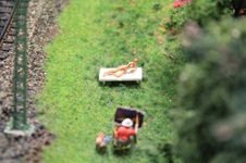 Enlarge photo 33