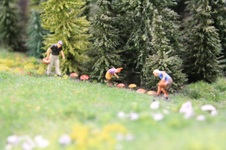 Enlarge photo 37