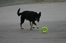 Enlarge photo 3