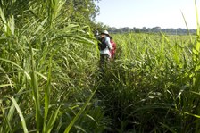 Enlarge photo 17