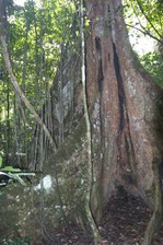 Enlarge photo 25