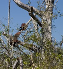 Enlarge photo 29