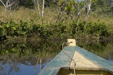 Enlarge photo 30