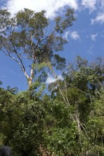 Enlarge photo 33
