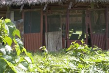 Enlarge photo 34