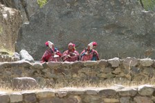 Enlarge photo 16