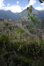 Enlarge photo 36