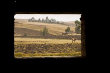 Enlarge photo 28