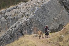Enlarge photo 33