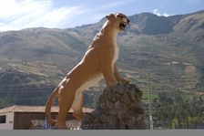 Enlarge photo 36