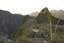 Enlarge photo 27