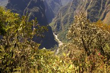 Enlarge photo 35