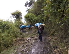 Enlarge photo 25