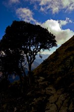 Enlarge photo 34