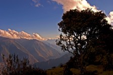 Enlarge photo 35