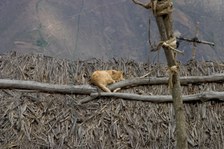 Enlarge photo 39