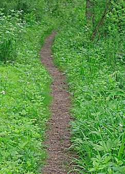 Along the Gunpowder River