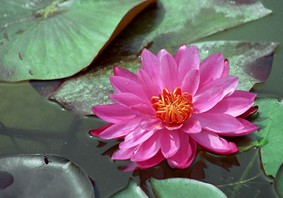 Enlarge photo 4