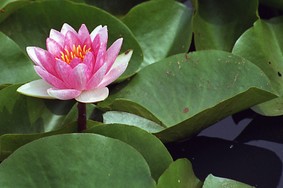 Enlarge photo 9