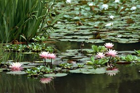 Enlarge photo 10