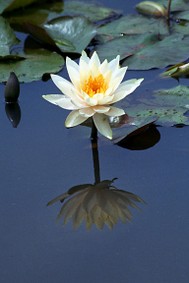 Enlarge photo 18