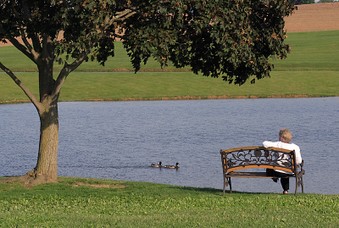 Friendly Farms, Upperco, MD