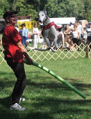 Enlarge photo 11