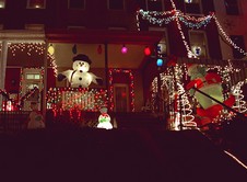 Enlarge photo 11