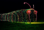 Holiday Lights at Brookside Gardens