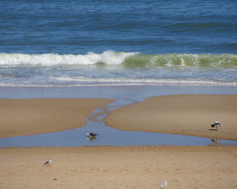 Enlarge photo 2