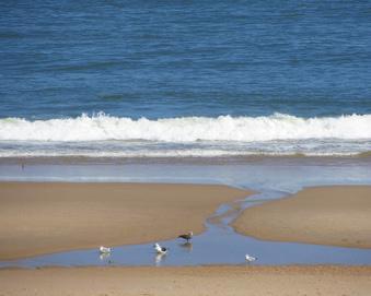 Enlarge photo 1