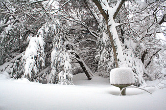 Snow Storm Feb 5-6 2010