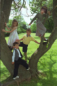 Enlarge photo 33