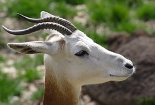 The Zoo in Baltimore