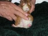 Enlarge photo 8