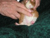 Enlarge photo 9