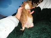 Enlarge photo 10