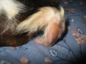 Enlarge photo 2