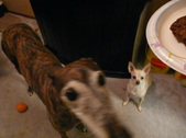 Enlarge photo 4