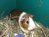 Enlarge photo 8
