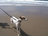 Enlarge photo 24