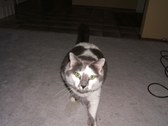 Enlarge photo 18