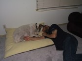 Enlarge photo 19