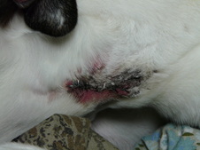 Enlarge photo 2