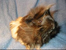 Francine!