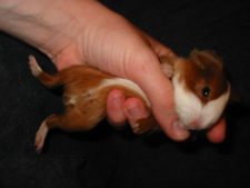 Enlarge photo 24