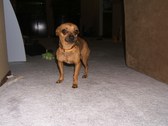 Enlarge photo 24