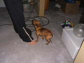 Enlarge photo 22